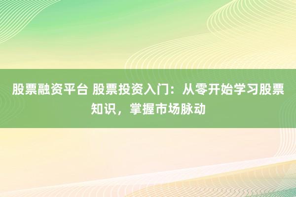 股票融资平台 股票投资入门：从零开始学习股票知识，掌握市场脉动