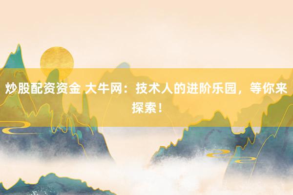 炒股配资资金 大牛网：技术人的进阶乐园，等你来探索！