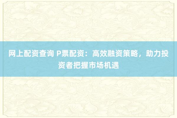 网上配资查询 P票配资：高效融资策略，助力投资者把握市场机遇