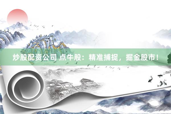 炒股配资公司 点牛股：精准捕捉，掘金股市！