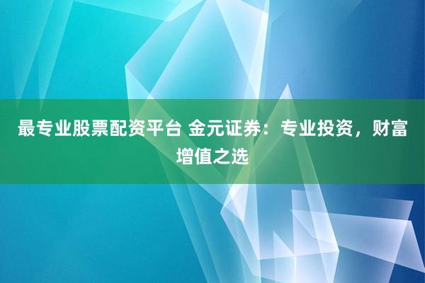 最专业股票配资平台 金元证券：专业投资，财富增值之选
