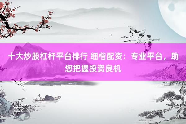 十大炒股杠杆平台排行 细楷配资：专业平台，助您把握投资良机