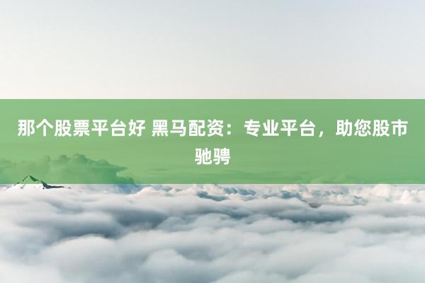 那个股票平台好 黑马配资：专业平台，助您股市驰骋