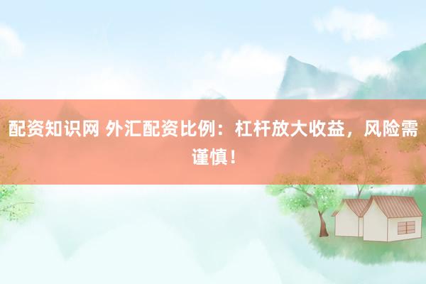 配资知识网 外汇配资比例：杠杆放大收益，风险需谨慎！